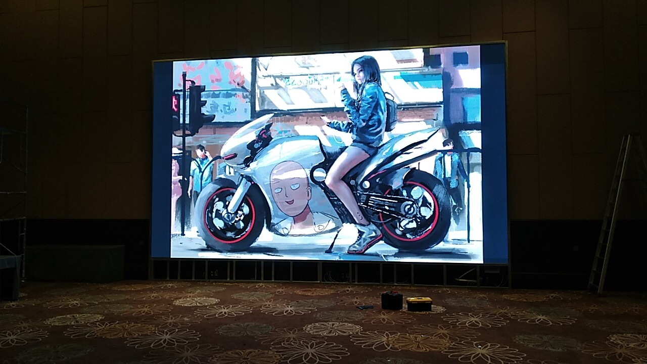 东方庐陵宾馆 30个平方室内P3